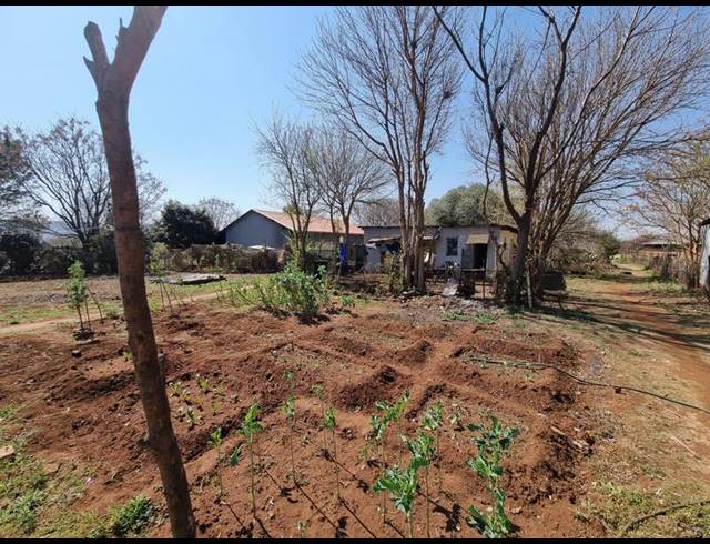 FARM FOR SALE IN ERASMIA